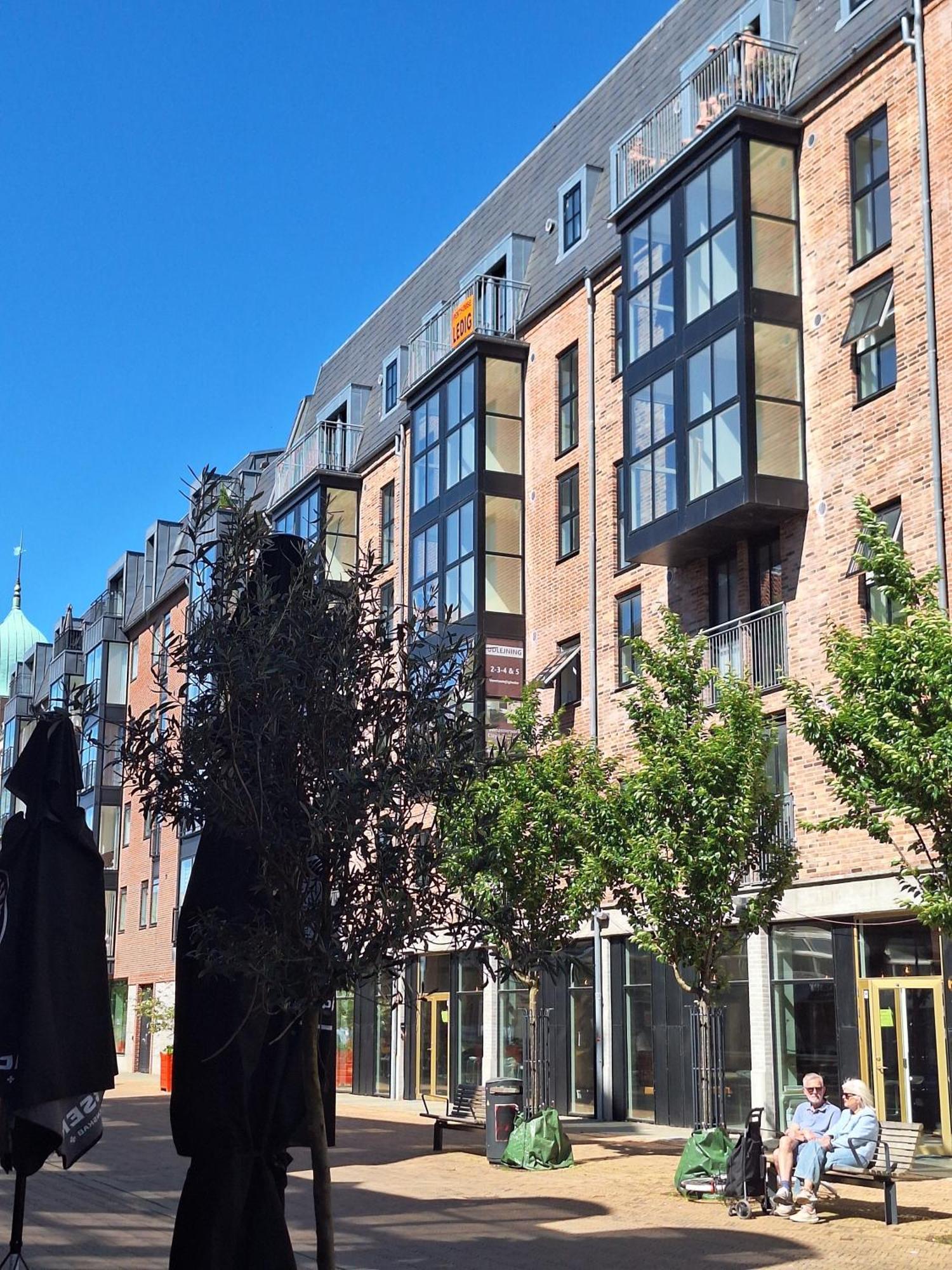 Apartments On Kongensgade 欧登塞 外观 照片